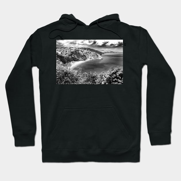 Oddicombe Beach Babbacombe Bay Devon Hoodie by AndyEvansPhotos